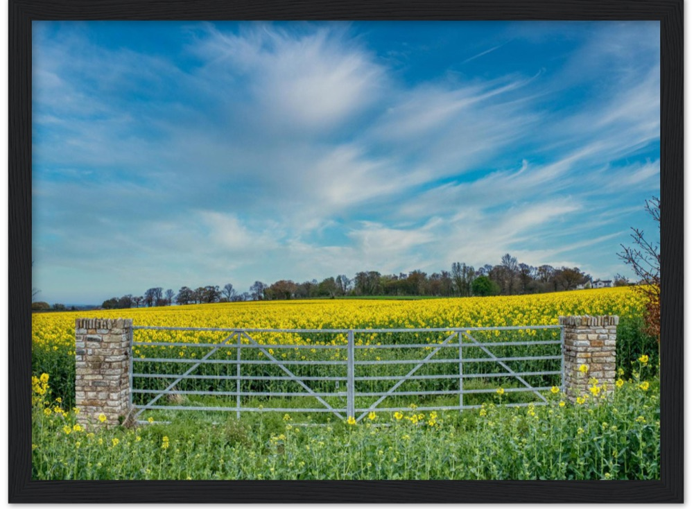 Through the Stone Pillars — Irish fine-art print