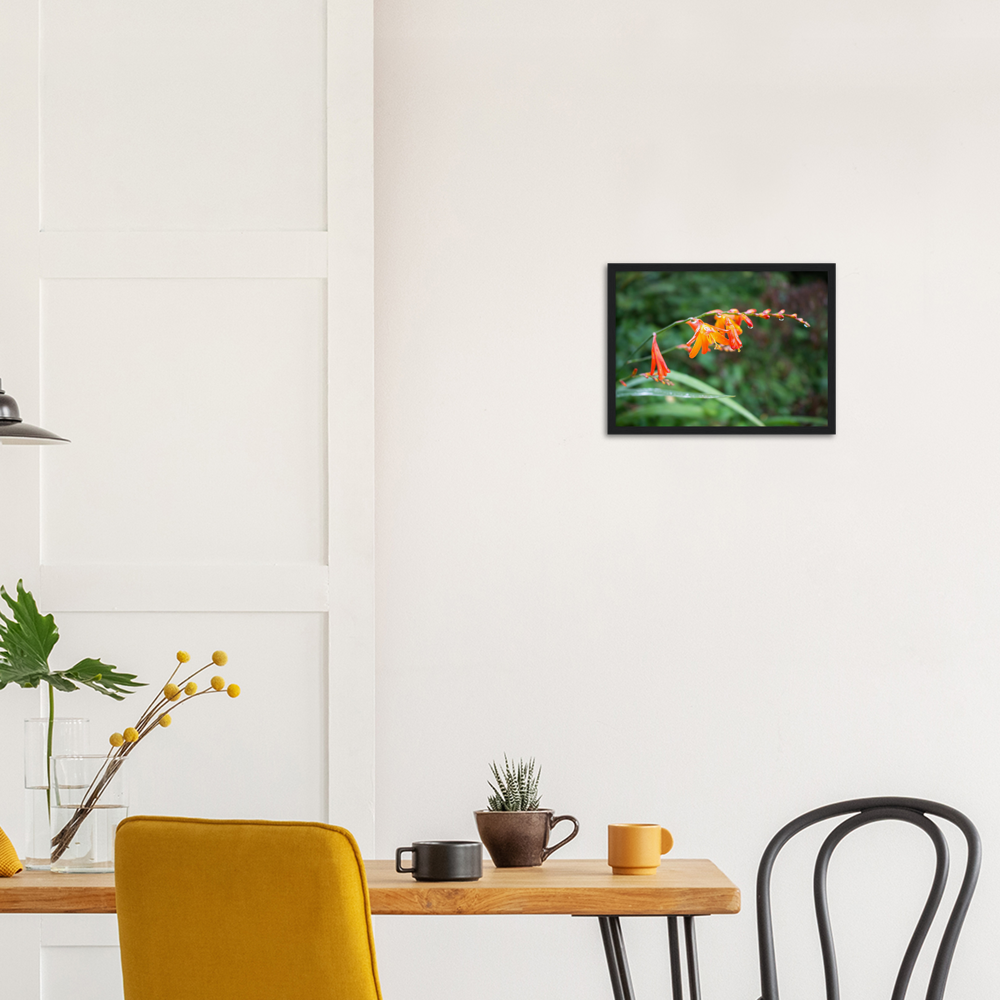 Raindrops — Irish fine-art print