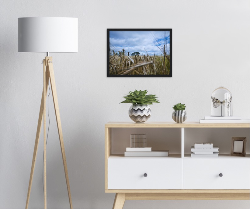 Fields of Gold — Irish fine-art print