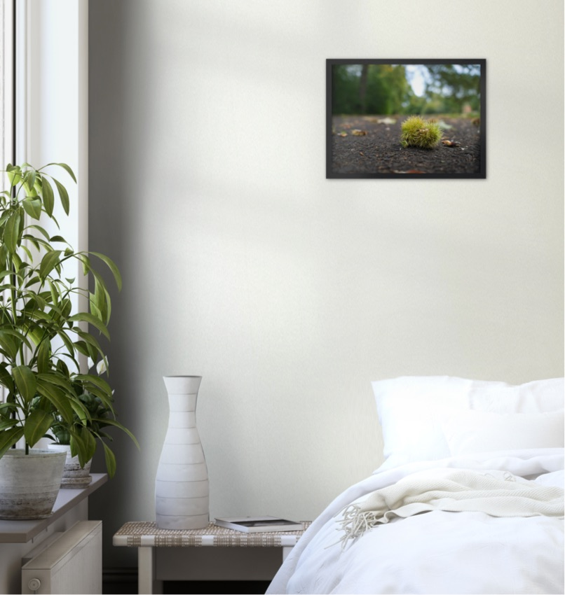 Conker Wood — Irish fine-art print