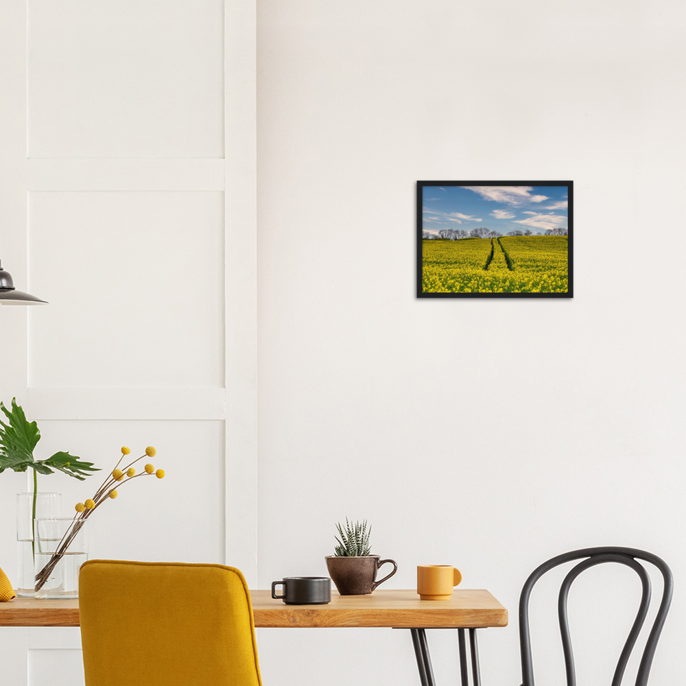 Ripe Rapeseed — Irish fine-art print