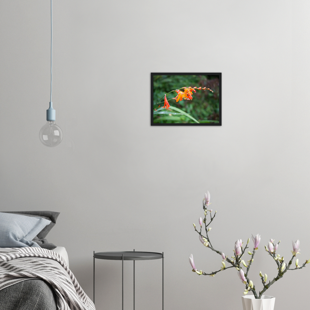 Raindrops — Irish fine-art print