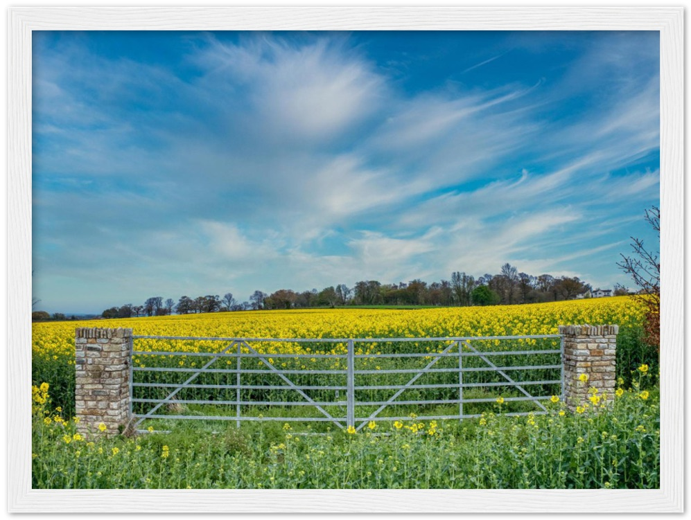 Through the Stone Pillars — Irish fine-art print