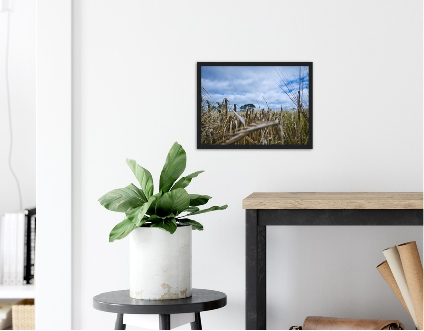 Fields of Gold — Irish fine-art print