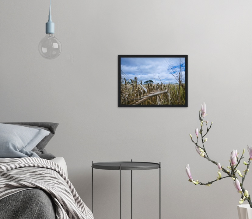 Fields of Gold — Irish fine-art print