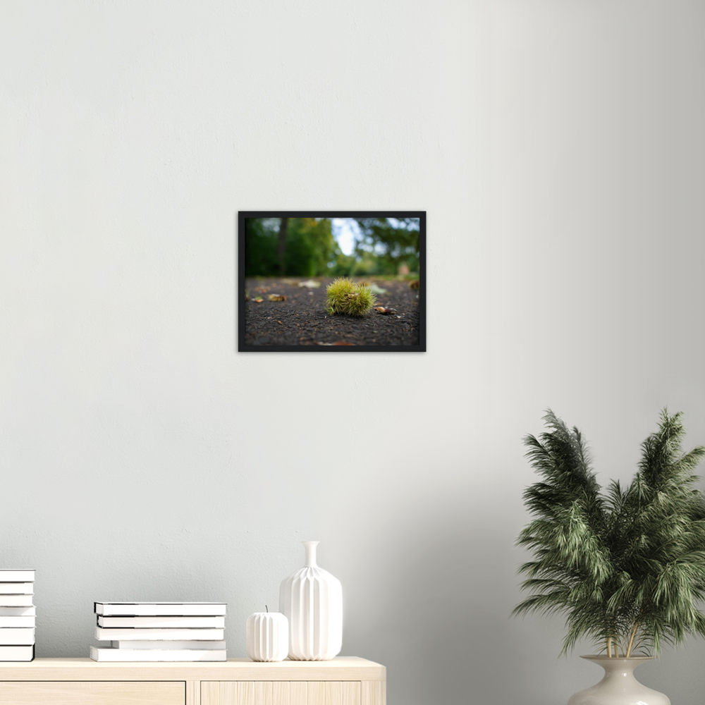Conker Wood — Irish fine-art print