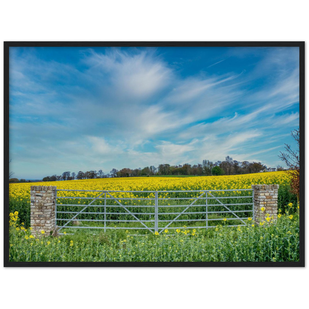 Through the Stone Pillars — Irish fine-art print