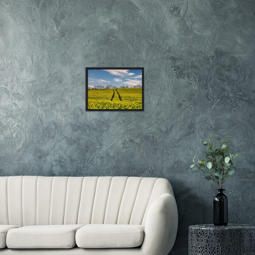 Ripe Rapeseed — Irish fine-art print
