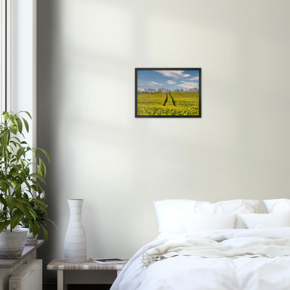 Ripe Rapeseed — Irish fine-art print