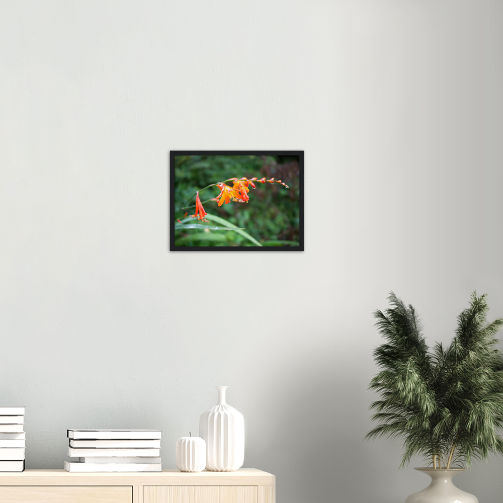 Raindrops — Irish fine-art print