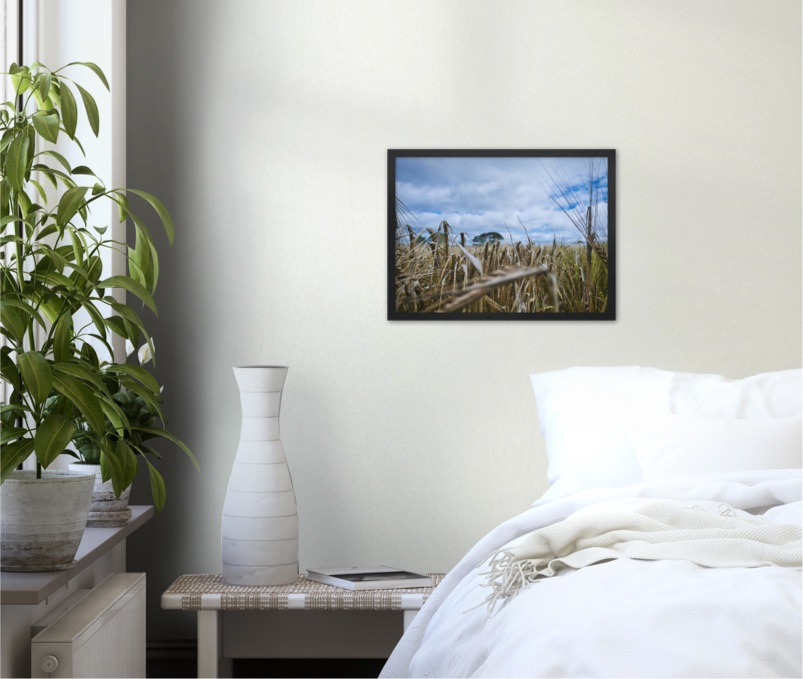 Fields of Gold — Irish fine-art print