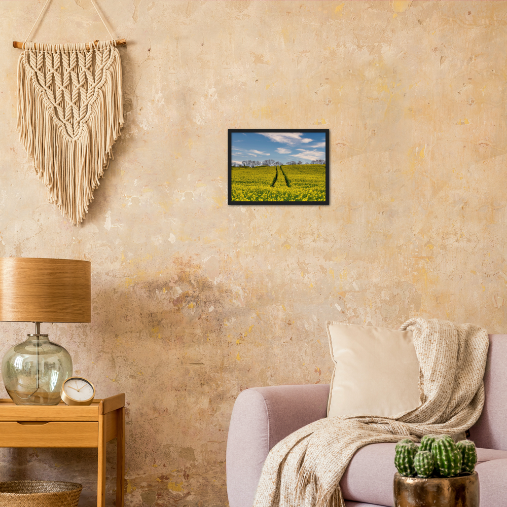 Ripe Rapeseed — Irish fine-art print